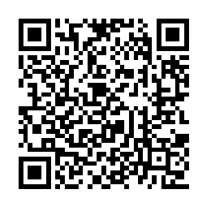 周公子的目光也在夏天和大将军身上扫视了一圈二维码生成