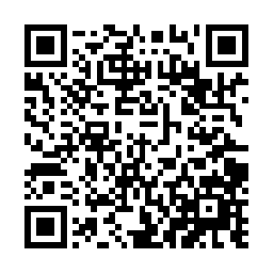 周围的混沌气流也不断的疯狂的朝着巨茧的周围汇集而来二维码生成