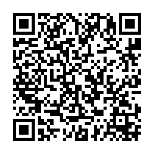 周山神柱之灵也终于恢复至能够施展神念沟通之术的残缺元灵状态二维码生成