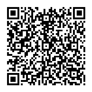 呵呵~~大清朝合天弘运文武睿哲恭俭宽裕孝敬诚信功德大成仁皇帝圣祖康熙爷的真迹二维码生成