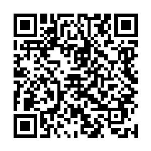 和现代的电子计算机建立在冯＊诺伊曼结构基础上不同二维码生成