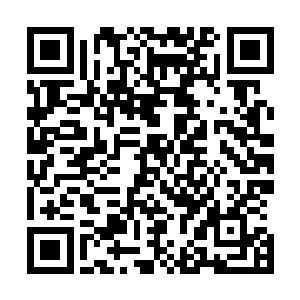 哪里会不知将来自己手中那支笔再也画不动雍州财政的时候二维码生成