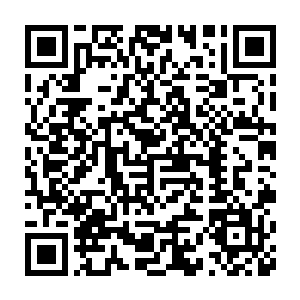 唐晓柔和林羽依她们通过朱明的关系已经和学校的保安混的有些熟了二维码生成