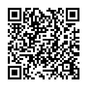 唯一清晰的只有一声又一声越发剧烈的地面的颤抖二维码生成