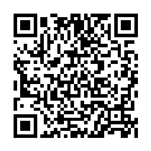 嗯……我不是故意的……我真的不是故意的……二维码生成
