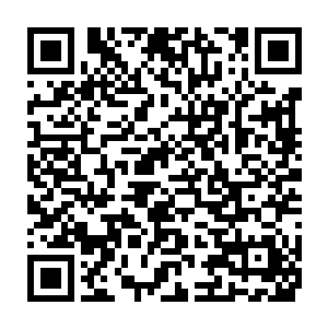 因为一直以来龙傲天只是靠丹霞鼎自己偶尔溢出来的一些混沌之力修炼二维码生成