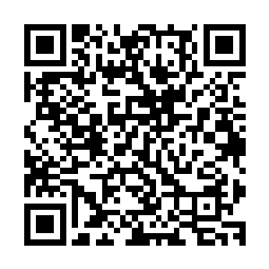 因为他不知道要是惊动了这些棺材内的存在会有什么样的后果二维码生成