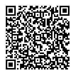 因为他们出了书房沿着花园小道没走几步便发现几丈之外的墙头之上出现了两女子二维码生成