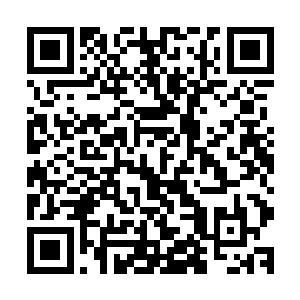 因为他们发现这座城市的每一个房子之中都有一个奇怪的东西二维码生成