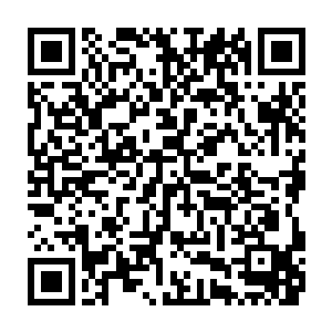 因为他把出这脉相竟然有使用他们研究出来的基因s改药剂之后的必然反应二维码生成