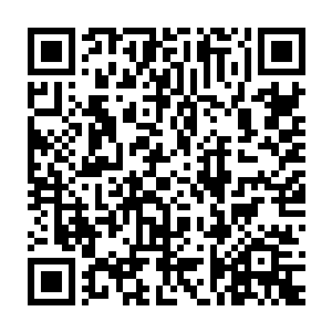 因为他担心以后有人来到这里的时候会为了财富挖开他的埋骨之地二维码生成