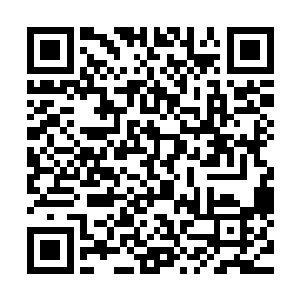 因为就算她去请动宗门的萧大师又或者是请药丹门的前辈们来二维码生成