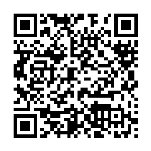 因为市场容量的增长根本不是拓达项目这点产能所能填补的二维码生成