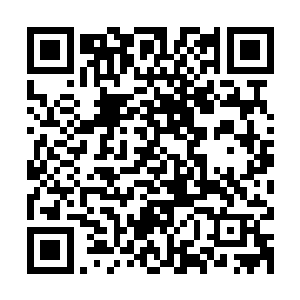 因为我想我可能是遇到了传说中七把能够打开异世界的钥匙之一二维码生成