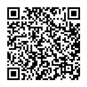 因为所有侵入他体内的阴冷气息全部都被转化为噬神之力的一部分二维码生成