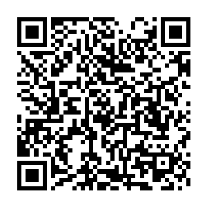 因为拉伊和杰克夫两人之中任何一人的攻击都对他们充满了威胁性二维码生成