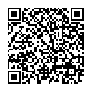 因为楚暮那四道杀戮符文只不过是挑选出来关键时刻破碎换取力量所用二维码生成