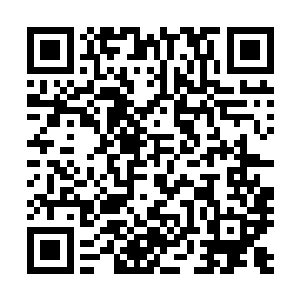 因为自从进入到天域中以来凯莉基本上都是比较沉默寡言的二维码生成