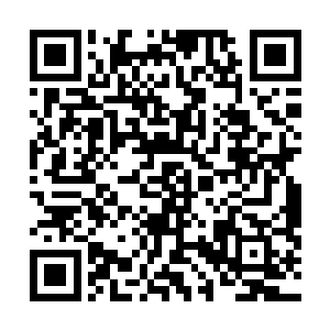 因为超级宗门将会插手这次拍卖的消息早已传得人尽皆知二维码生成