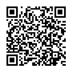 因为金孔雀用来推演的方式是他记忆中保存还算完好地方部分二维码生成