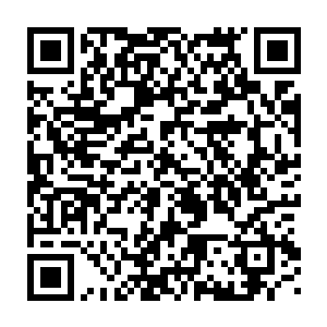 因此也根本没那么多时间去替阮灵这个萍水相逢的小姑娘操那么多的心二维码生成