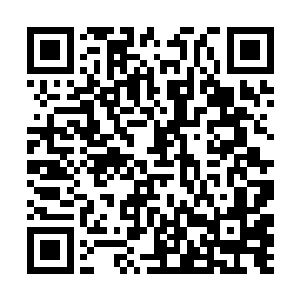 因此他们根本没办法用正常的状态在隔壁的世界存活二维码生成