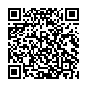 因此林封谨几乎是没有任何的痛觉伤口就被清理完毕二维码生成