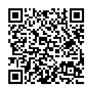 国内几位著名经济学家在岭西开座谈会也出现在了新闻节目之中二维码生成