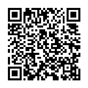 国家游泳队是否能够在本次奥运会上取得前所未有的佳绩二维码生成