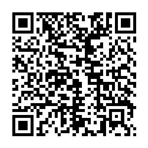 在一万年前神界讨伐地狱的神罚之战中担任神罚堡垒的后勤守备官二维码生成