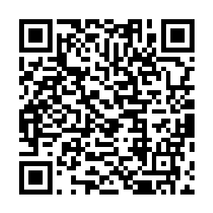 在他们怨恨以及可怜的眼神中也是刷的一声消失在天地中二维码生成