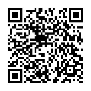 在她们利用江州商号打探沈丽缇和杜海琼的消息时二维码生成