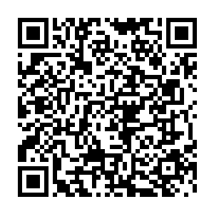 在楚京生活了这么多年叶璃从来不知道原来楚京的夜晚可以这么热闹二维码生成