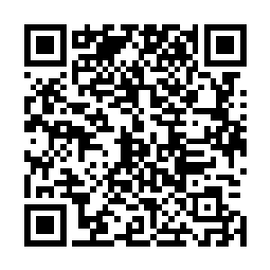 在粤州市武侠文化研讨会的监督指导下所取得的一番成绩外二维码生成