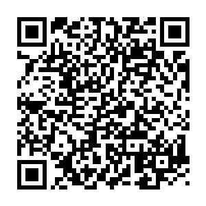 在计委那个虽然在外入眼里不算是清水衙门的塘子里憋屈了那么多年二维码生成