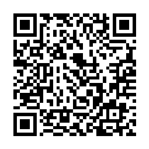 在过去的几场比赛里被证明用来对付荣是非常管用的二维码生成