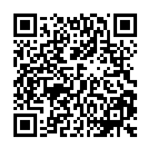 基本上叶惟不可能凭着lms拿到任何重量级的最佳导演提名的殊荣二维码生成
