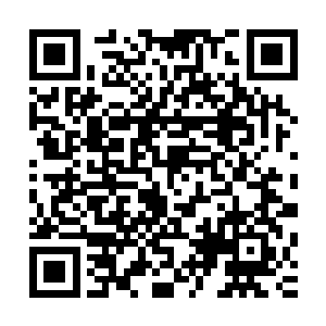 塔姆如今所收取的那些惊人好处也无疑是惹得那三大鬼王眼红二维码生成