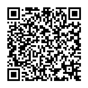 墨眉将杨开准备好的天元正印丹的丹方和十份天地源液交付那位丹师二维码生成