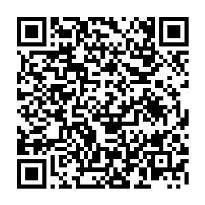 外面人也会认为他们对这个孙女也是爱惨了才会那么积极的去争取抚养权二维码生成