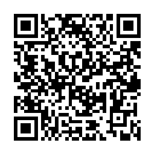 夜染完全能够感受到苍穹宝塔里面那股力量的兴奋和叫嚣二维码生成