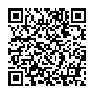 大家都不相信250机甲团会这么快找到一个安全的基地二维码生成