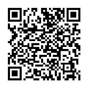 奥斯卡的表演奖也从来不是由角色和演技决定的二维码生成