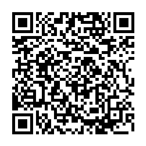 如果在战斗的过程中公西宁中断炼化加入战圈……那后果未免也太可怕了二维码生成