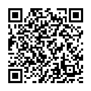 如果杨浩跟边学道的关系确如刚才两人之间表现出来的那么好二维码生成