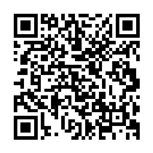 如果说对面的云州大学内所依仗的底牌只是三名最强王者的话二维码生成