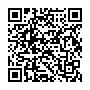 嫉妒那有些虚弱的精神传音也从愤怒等人脑海中响了起来二维码生成