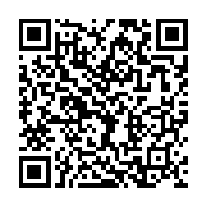 它们只有吞噬更加强横的入类强者才能够继续快速进化二维码生成