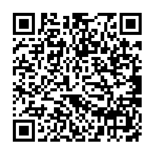 它本身的战力也同样是不俗的……对付那些强横的巅峰灵兽王那肯定是不行的二维码生成