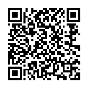 对方基本上攻击的时候没有什么技巧只是一味的跟龙傲天硬撼二维码生成